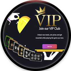 BitWin Casino VIP Program