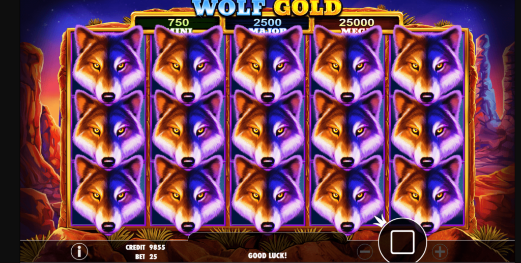 Wolf Gold 