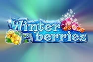 winterberries preview